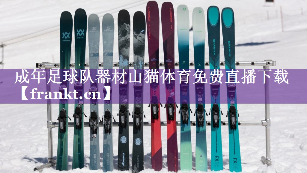 成年足球队器材山猫体育免费直播下载