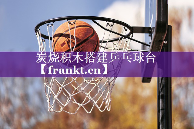 炭烧积木搭建乒乓球台