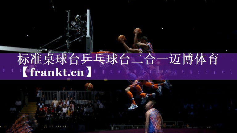 标准桌球台乒乓球台二合一迈博体育