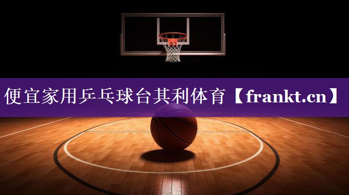 便宜家用乒乓球台其利体育