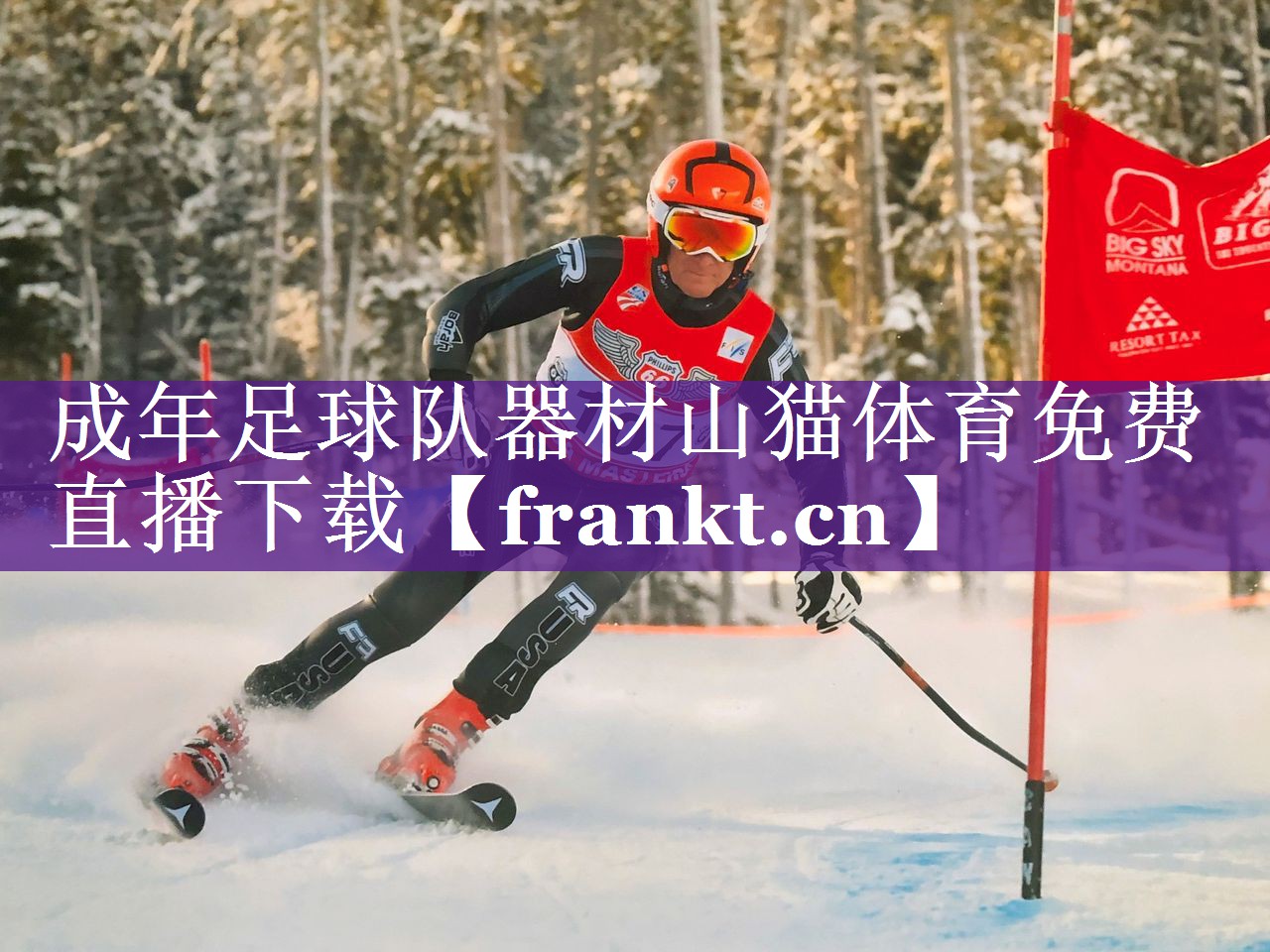 成年足球队器材山猫体育免费直播下载