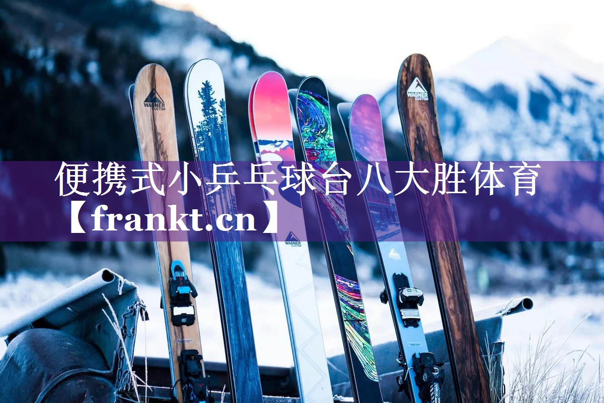 便携式小乒乓球台八大胜体育