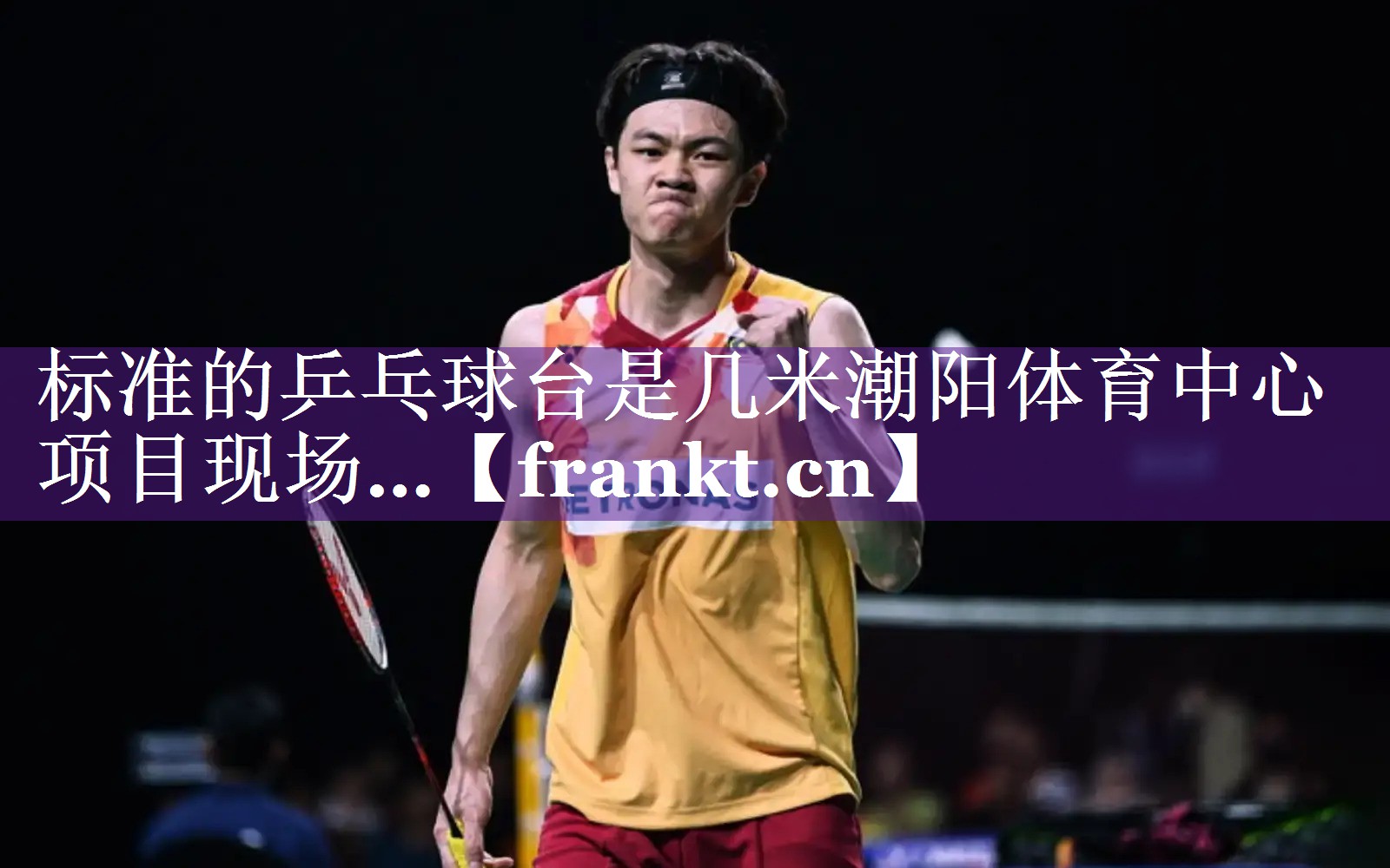 标准的乒乓球台是几米潮阳体育中心项目现场…