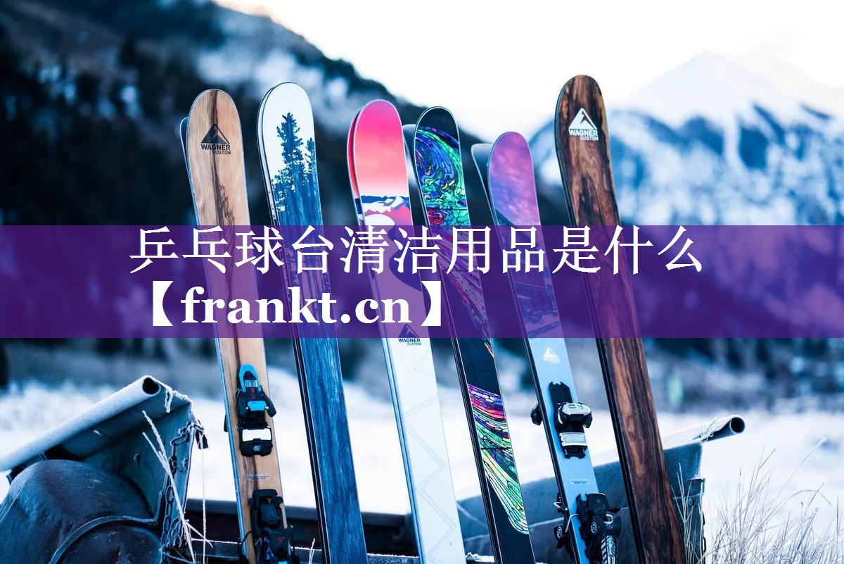 乒乓球台清洁用品是什么 乒乓球台清洁用品是什么
