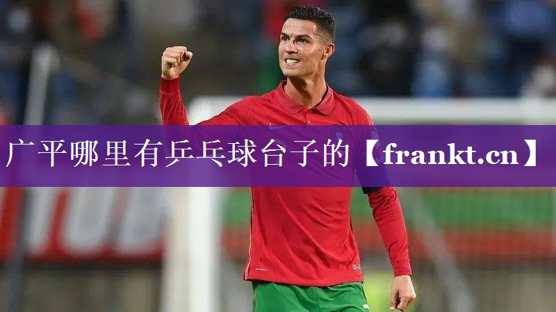 广平哪里有乒乓球台子的 广平哪里有乒乓球台子的