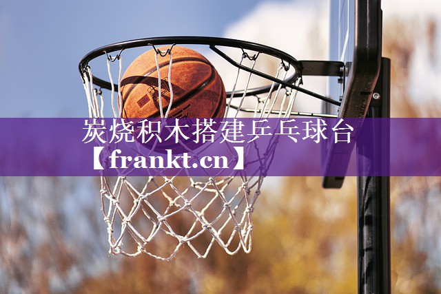 炭烧积木搭建乒乓球台 炭烧积木搭建乒乓球台