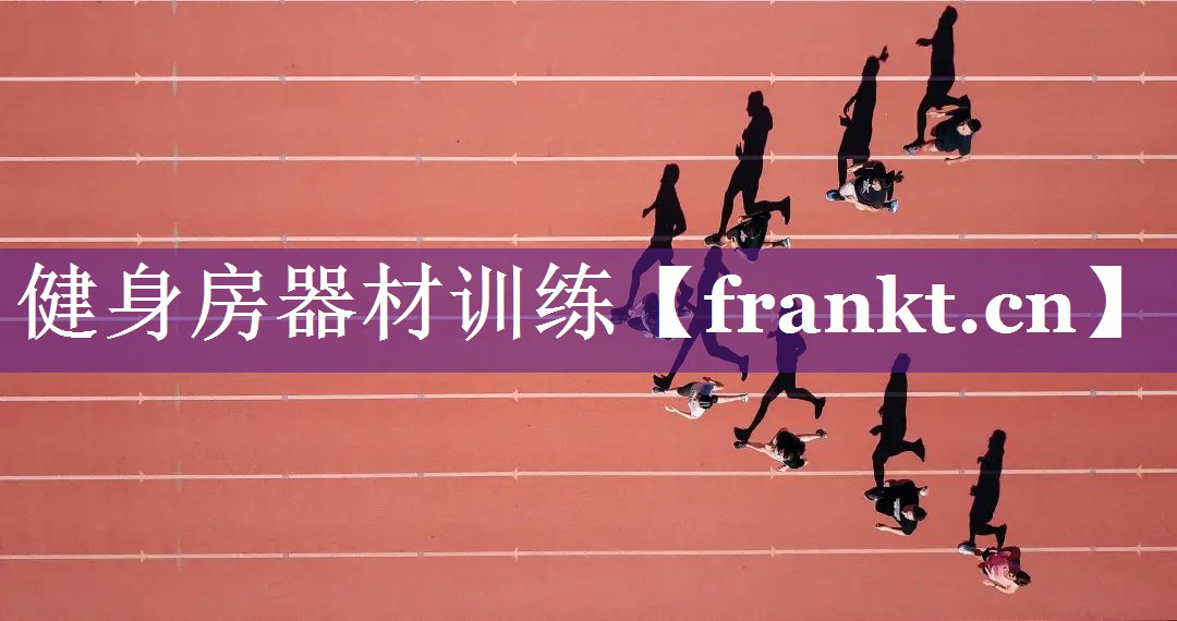 健身房器材训练 健身房器材训练