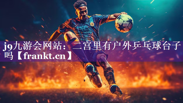 二宫里有户外乒乓球台子吗 二宫里有户外乒乓球台子吗
