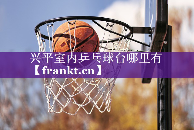 兴平室内乒乓球台哪里有